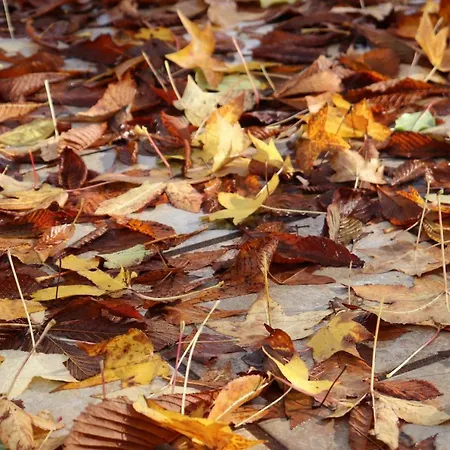 Mar Y Montana En Rias Baixas *