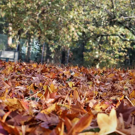 Ferienhaus Mar Y Montana En Rias Baixas