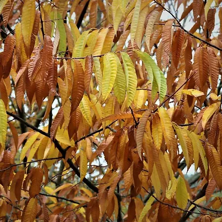 Ferienhaus Mar Y Montana En Rias Baixas