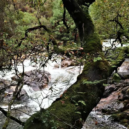 Ferienhaus Mar Y Montana En Rias Baixas