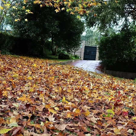 Mar Y Montana En Rias Baixas