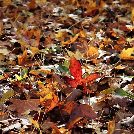 Mar Y Montana En Rias Baixas