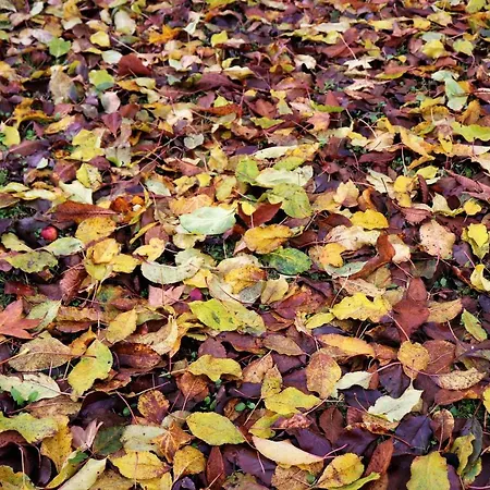 Ferienhaus Mar Y Montana En Rias Baixas Gondomar