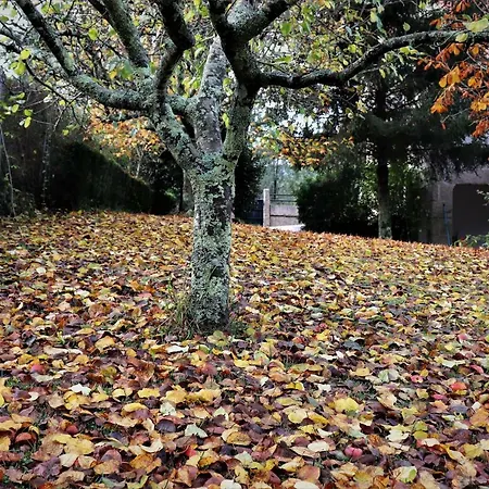 Mar Y Montana En Rias Baixas Ferienhaus