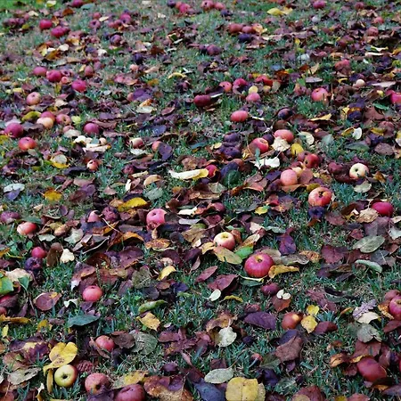 Ferienhaus Mar Y Montana En Rias Baixas